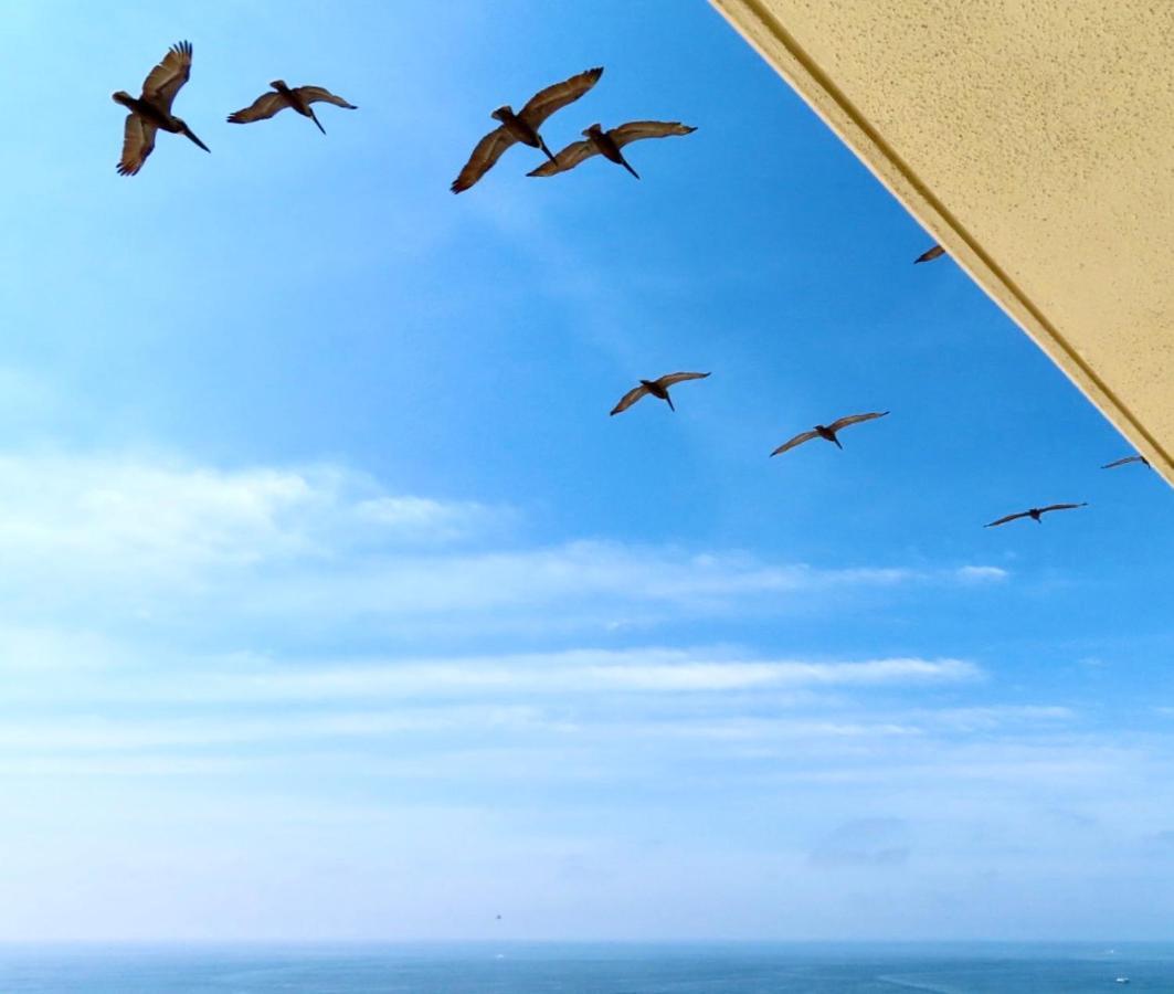 Just Updated - Beachfront Ocean View, 19Th Floor Destin Exteriör bild